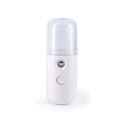 Mini Facial Steamer